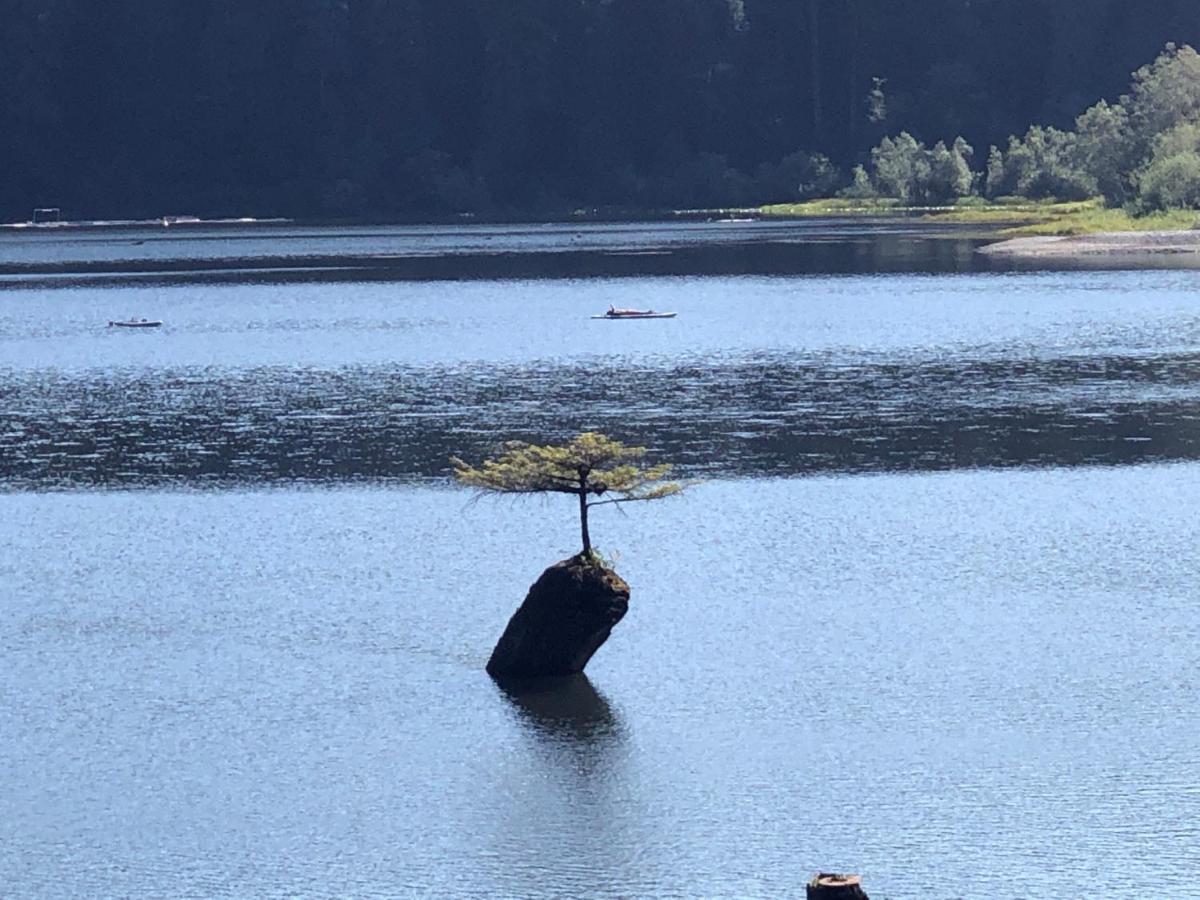 Port Renfrew Vacation Rentals Esterno foto