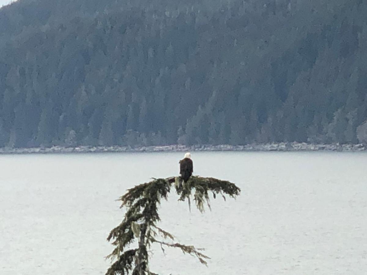 Port Renfrew Vacation Rentals Esterno foto