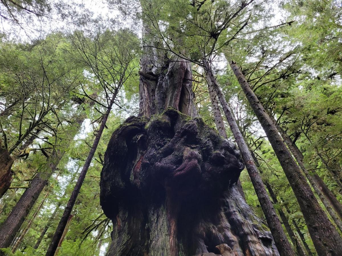 Port Renfrew Vacation Rentals Esterno foto